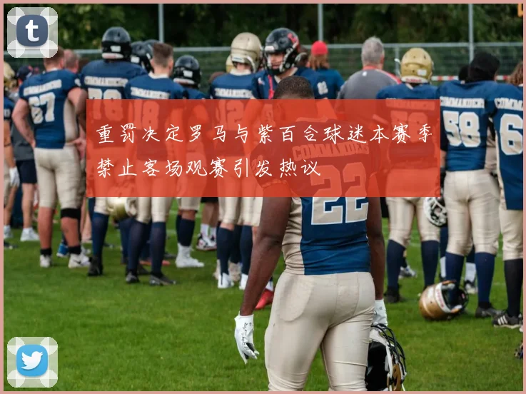 重罚决定罗马与紫百合球迷本赛季禁止客场观赛引发热议
